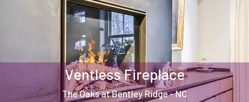 Ventless Fireplace The Oaks at Bentley Ridge - NC