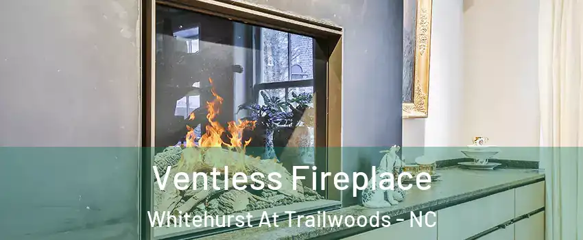 Ventless Fireplace Whitehurst At Trailwoods - NC