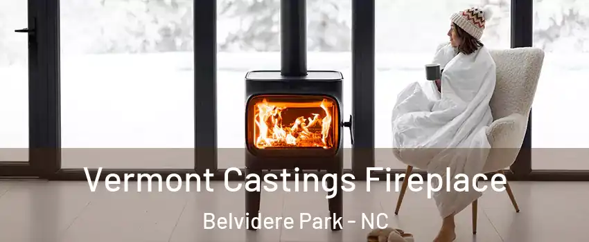 Vermont Castings Fireplace Belvidere Park - NC
