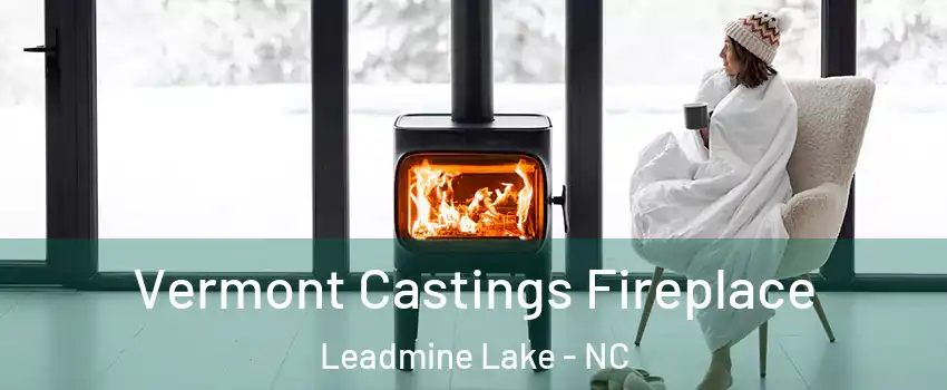 Vermont Castings Fireplace Leadmine Lake - NC