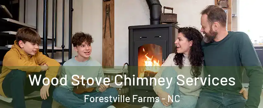 Wood Stove Chimney Services Forestville Farms - NC