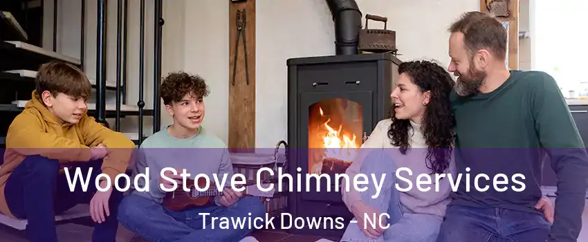 Wood Stove Chimney Services Trawick Downs - NC