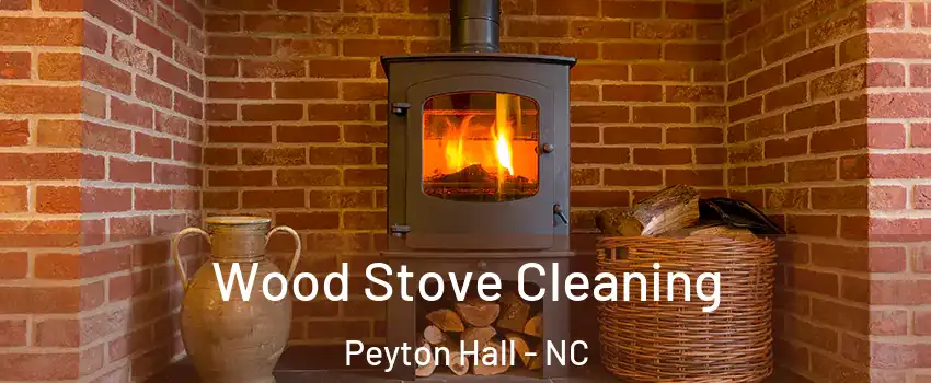 Wood Stove Cleaning Peyton Hall - NC
