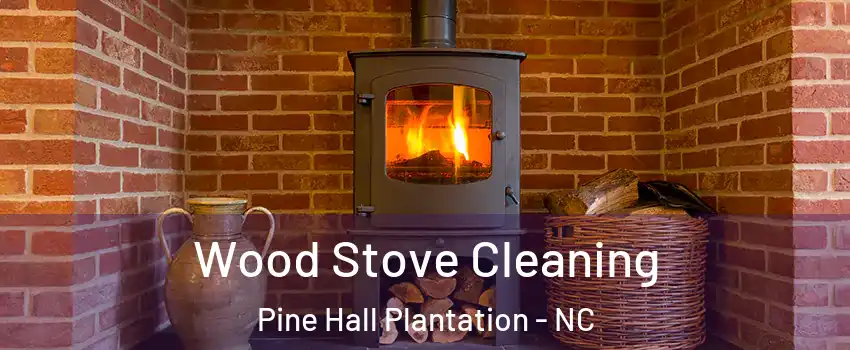 Wood Stove Cleaning Pine Hall Plantation - NC