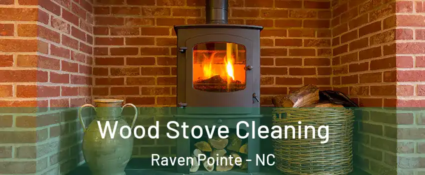 Wood Stove Cleaning Raven Pointe - NC