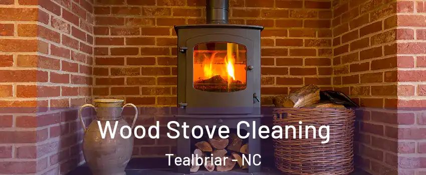 Wood Stove Cleaning Tealbriar - NC