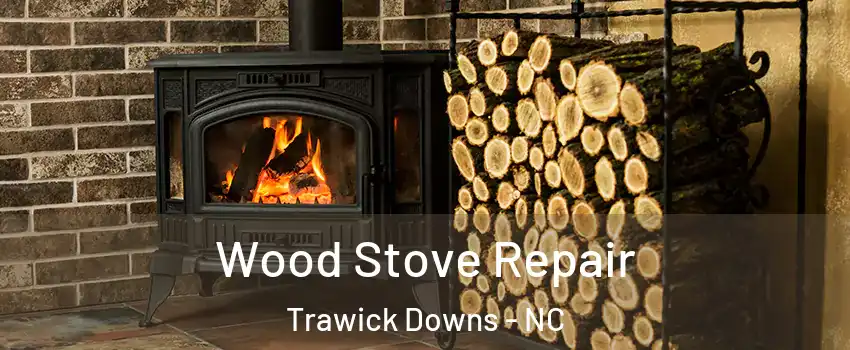 Wood Stove Repair Trawick Downs - NC